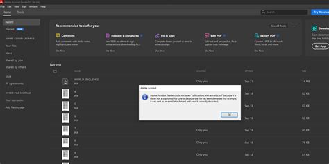 Image result for Cannot Open Downloaded PDF Files