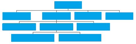 Multidivisional Structure 的图像结果