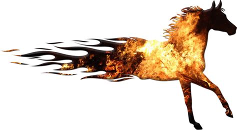 Fire Horse Free Stock Photo - Public Domain Pictures