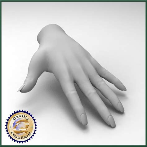 Image result for Female Hand 3D Modeling