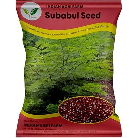Iagrifarm Subabul/Fodder Seed - 250 gram/Soundal/Leucaena Leucocephala ...