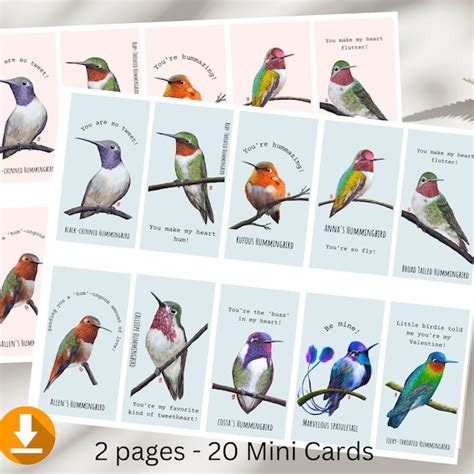 Image result for Hummingbird Card