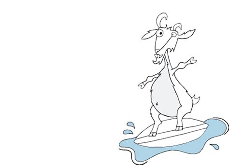 Belly Goat Burger | Downtown Santa Cruz, CA