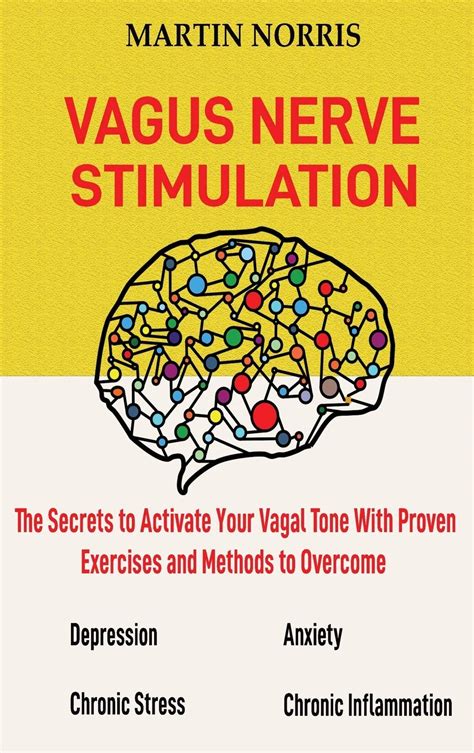 Buy Vagus Nerve Stimulation: The Secrets to Activate Your Vagal Tone ...