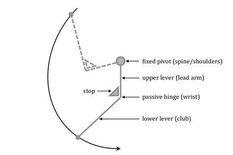 Double Pendulum Golf Swing 的图像结果