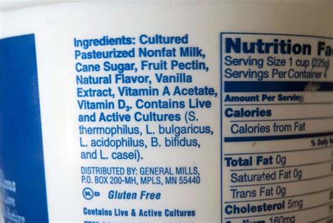The Fascinating & Disturbing Story of How Yogurt Was Accidentally Invented « Invisiverse ...