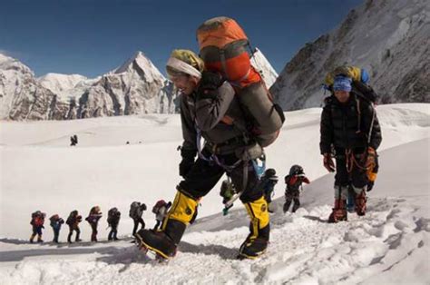 Descubre Todo Sobre los Sherpa Aquí y mucho mas
