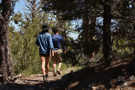 Holcomb Valley Ranch - Big Bear Lake, California