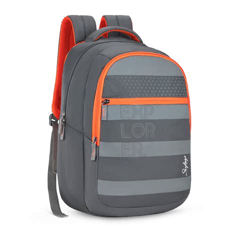 Skybags Teckie Pro Laptop Backpack (E) Grey