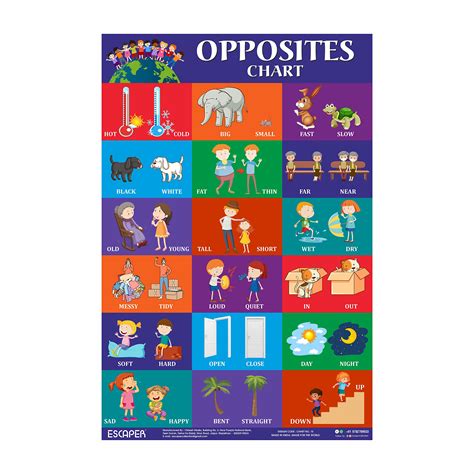 Buy ESCAPER sites Chart for Kids learning (11.5 x 17.5 inches) | site ...
