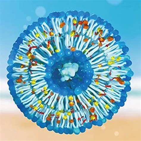 Get Complete Brightening Skincare Kit for Glowing Skin by – Fixderma ...