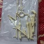 NHR 3D Human Body Model for Kids and Children, Fully Transparent 29 ...