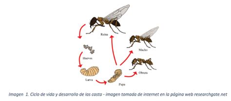 Image result for Static Variable vs Instance Variable in Java