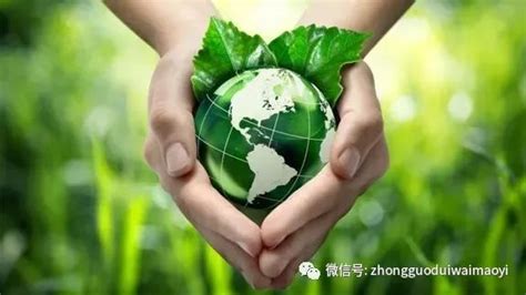 【要闻聚焦】两部委：加快建设绿色经济领域世界一流跨国企业__财经头条