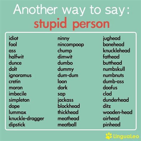 Stupid Is A Mean Word - Letter Words Unleashed