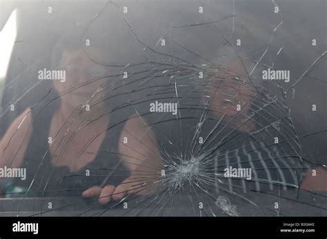 Bullet-Riddled Bus 的图像结果