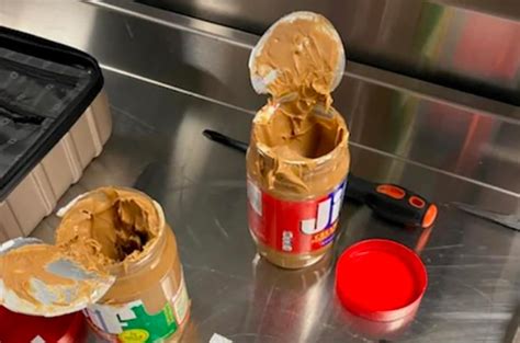 Image result for TSA Security Check