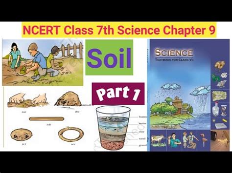 Class 7th Chapter 9 Science 的图像结果