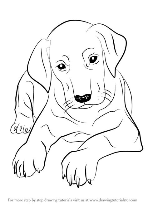 Image result for Small Dog Drawing