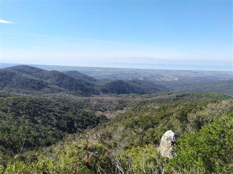 Le Golazze Aperte e la Macchia della Magona, Macchia Della Magona ...