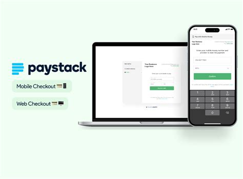 Image result for Paystack Check Out Icon