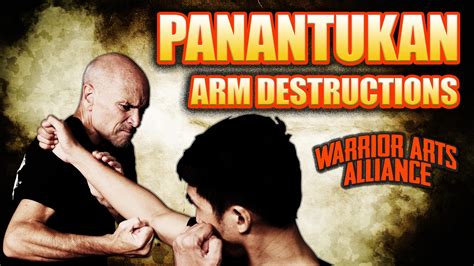 Image result for Silat Boxing