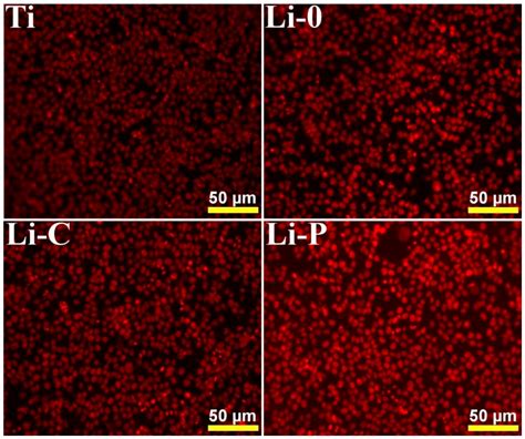 Pulsed Laser Deposited Biocompatible Lithium-Doped Hydroxyapatite ...