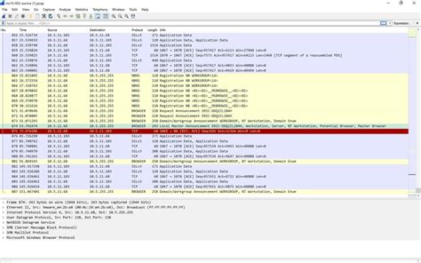 Pcap File 的图像结果