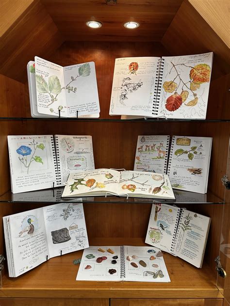 Nature Journals 的图像结果