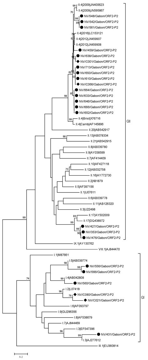 Genetic Diversity of Enteric Viruses in Children under Five Years Old ...