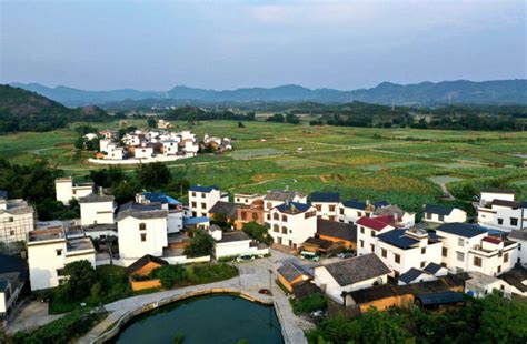 逆势飞扬：县域经济跨越发展的“鹿寨模式” - 广西县域经济网