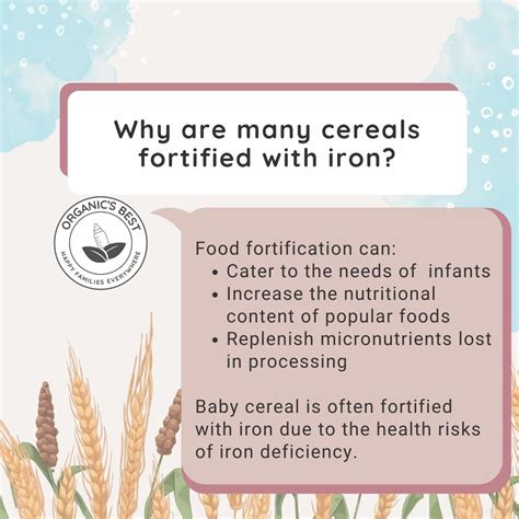 Health Benefits of Organic Iron-Fortified Baby Cereal