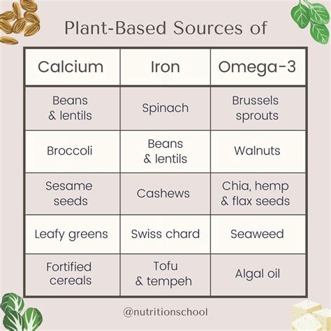 Dr gundry diet food list a comprehensive lectin free diet plan – Artofit