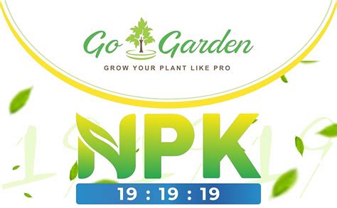 Go Garden NPK 19 19 19 Fertilizer for Plants | Water Soluble Plant ...