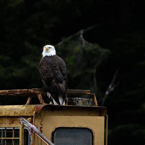 LIGHTHOUSE EXCURSIONS (2026) All You Need to Know BEFORE You Go (with ...