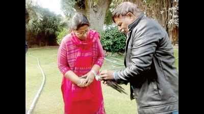 Now, dead crows near Anasagar Lake in Ajmer | Ajmer News - Times of India