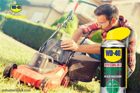 Come revisionare il tagliaerba a scoppio?   WD 40 Italia