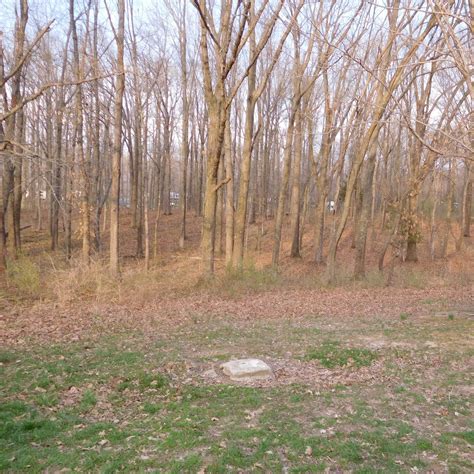 Rend Lake Gun Creek Campground Camping | The Dyrt