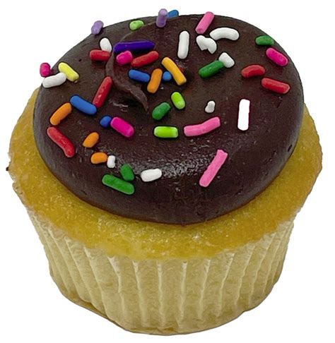 Vanilla / Chocolate Cupcake - Betty Bakery