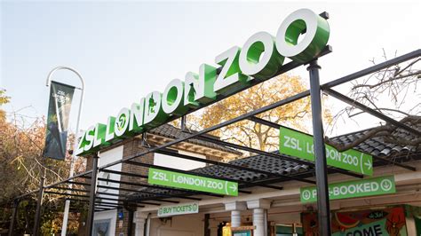 London Zoo - Zoo Nights | Attractions Near Me