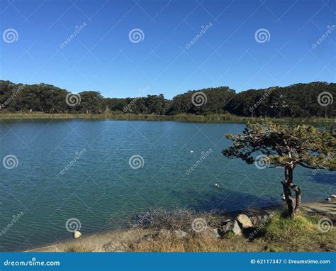 Lake Merced San Francisco stock image. Image of lake - 62117347