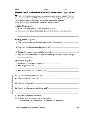 Fillable Online BIO ALL IN1 StGd tese ch20 8/7/03 5:20 PM Page 363 Name ...