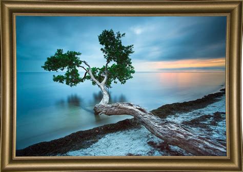 Frame USA Water Tree 10 Color Framed Print 18.0"x27.0" by Moises Levy ...