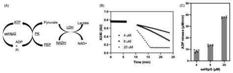 Methods and Protocols | An Open Access Journal from MDPI