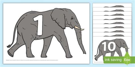 👉 Elephant Display Numbers to 10 (teacher made) - Twinkl