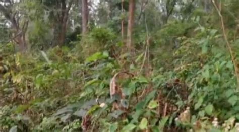 Rail tracks damaged in twin IED blasts near Odisha-Jharkhand border ...