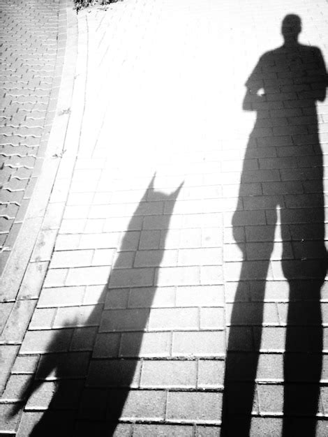 Shadow Person Using Computer 的图像结果