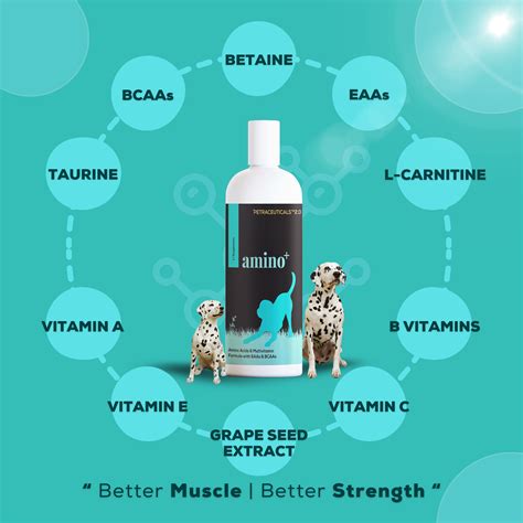 Venttura Amino+ Syrup – Amino Acids & Multivitamin for Pets – ShakeHands