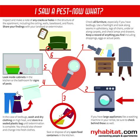 How To Keep Apartment Roach Free at Vaughn Josephs blog