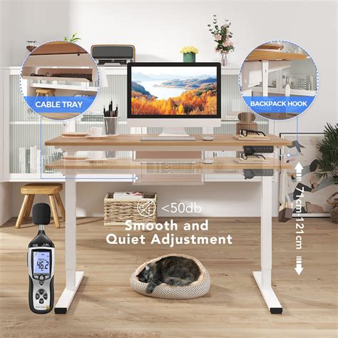 FLEXISPOT Electric Height Adjustable Standing Desk Sit Stand Desk ...